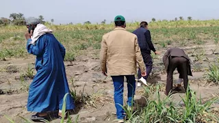 وزارة الزراعة تكثف متابعة سير العمل بمديريات الزراعة لضمان دعم المزارعين