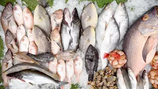 أسعار الأسماك والمأكولات البحرية اليوم في سوق العبور.. 84 جنيها لكيلو البلطي