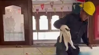 الحماية المدنية بالفيوم تنقذ قطة محتجزة داخل معهد تعليمي