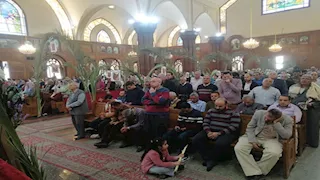 كنائس الفيوم تكتسي بـ"السعف" في ذكرى دخول المسيح لأورشليم