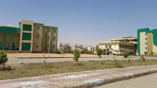 السويس تطبق العمل عن بعد.. محاضرات أونلاين لطلاب الجامعة وحركة طبيعية بالمناطق الصناعية 