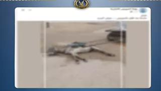 بعد الجدل على السوشيال.. الداخلية توضح سبب نفوق دابة بالسويس