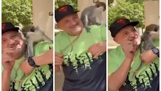 "بيلعب ويرقص معاه".. خالد الصاوي ينشر فيديو طريف مع النسناس