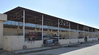 اقتحمنه بالقوة.. سيدات يحررن الكلاب الضالة من "شيلتر" ويعيدونها للشارع ببورسعيد 