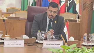 البخشوان: سيادة الدول العربية ركيزة أساسية للأمن القومي المصري