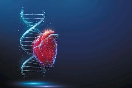 أمراض القلب الوراثية- طبيب يوصي الشباب بهذه الفحوصات للوقاية