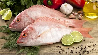 احذر تناوله.. نوع أسماك سام وقد يؤدي إلى الوفاة