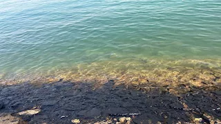 "بقع سوداء تشوه عروس القناة".. تلوث غامض يضرب ممشى بورتوفيق بالسويس -صور