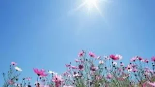 انهيار تيار الخليج.. علماء يُحذرون من كارثة مناخية عالمية