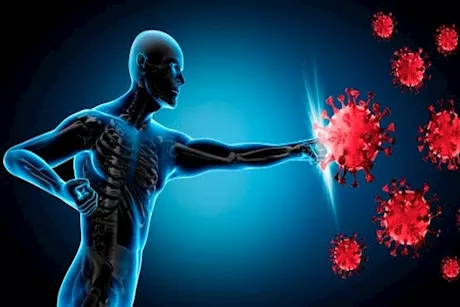 فرط نشاط الجهاز المناعي.. استشاري يكشف الأسباب وأبرز علاماته
