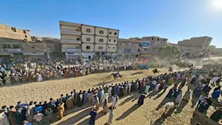 خيول تتراقص وعصي تتلاقى.. سوهاج تحتفل بمولد بنى حميل - فيديو وصور 