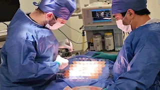 بحجم صدم الأطباء.. فريق طبي يستخرج حصوة من أمعاء سيدة في كفر الشيخ (صور)