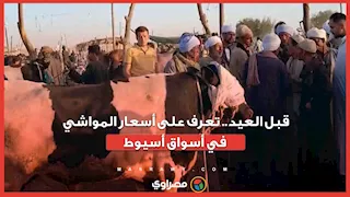 قبل العيد.. تعرف على أسعار المواشي في أسواق أسيوط...