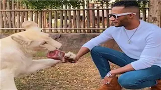 من "قلب الأسد" إلى "أسد".. كيف ظهر محمد رمضان مع  الحيوانات المفترسة ؟