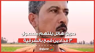 "شقى السنة بقى رماد".. حريق هائل يلتهم محصول 3 فدادين قمح بالشرقية شهود عيان يروون التفاصيل
