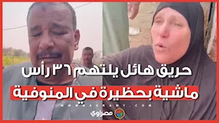 "شقانا راح في لحظة".. حريق هائل يلتهم 36 رأس ماشية بحظيرة في المنوفية