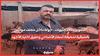 "السوبر" بـ210 جنيهات.. جولة داخل معلف مواشي بالشرقية لمعرفة أسعار الأضاحي وطرق اختيار الأجود