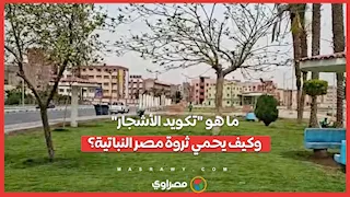 لكل شجرة "رقم قومي".. ما هو "تكويد الأشجار" وكيف يحمي ثروة مصر النباتية؟