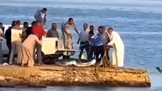  خبير بحار يحسم هوية "قرش الفيديو المرعب" بالقصير -صور