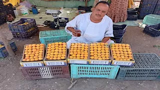 "مشمش العمار" في خطر.. ذبابة تُكبد المزارعين خسائر كبيرة بالقليوبية (فيديو وصور)