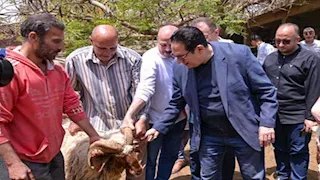 من داخل حقول الزراعة.. شاهد رئيس جامعة القاهرة يتابع موسم حصاد القمح 