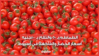 الطماطم بـ 50 والتفاح بـ 100جنيه.. أسعار الخضار والفاكهة في أسيوط