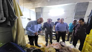 بالصور- ضبط 10 أطنان لحوم فاسدة قبل بيعها في عيد الأضحى بالقليوبية