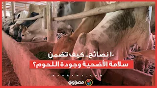 10 نصائح.. كيف تضمن سلامة الأضحية وجودة اللحوم؟