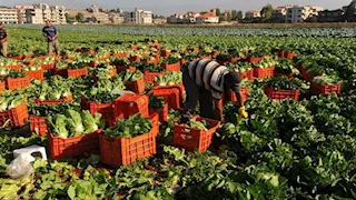 توصيات عاجلة من "تغير المناخ" لمواجهة الموجات الحارة وحماية المحاصيل 