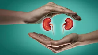 4 فواكه ومكسرات تحمي من التهاب الكبد الدهني