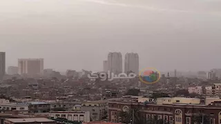 نشرة التوك شو| خطة قومية للقضاء على السعار وتحذيرات من الأرصاد حول طقس الغد