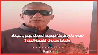 تعرف على طريقة تجفيف السمك بجنوب سيناء ولماذا يسمونه فاكهة البدو؟