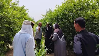 الزراعة: إزالة 40 حالة تعد واسترداد أكثر من 42 ألف متر ببرج العرب