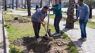 التنمية المحلية تعلن زراعة أكثر من 200 ألف شجرة ضمن مبادرة "100 مليون شجرة"