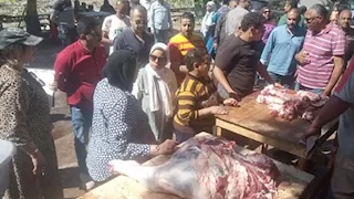 714 ألف جنيه غرامات في حملات على محال الجزارة بالإسكندرية - صور