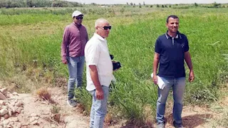 محافظة سوهاج تنفي زراعة خضروات بمياه الصرف الصحي 