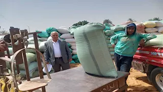 توريد 191 ألف طن قمح بصوامع وشون أسيوط منذ بدء الموسم