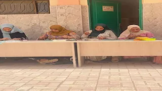فائدة اقتصادية وبيئية.. البحيرة تدرب سيداتها على إعادة تدوير الجلود