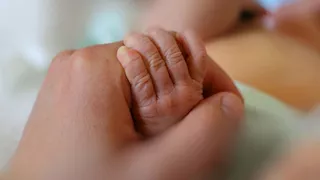 المرأة المصرية تسجل أعلى متوسط عمر متوقع في 2026 مع انخفاض معدلات الإنجاب 