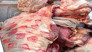 بالصور- ضبط 800 كيلو لحوم ورنجة فاسدة خلال حملات مكبرة في القليوبية