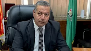 حصاد القمح.. توريد أكثر من 229 ألف طن للشون والصوامع بالفيوم