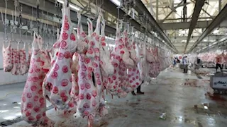 أعلنت حالة الطوارئ.. "الزراعة": 497 مجزرًا لاستقبال الأضاحي مجانًا تحت إشراف بيطري كامل