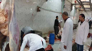 أسيوط تستعد للعيد بـ29 مجزرًا مجانيًا وخطة رقابية مشددة على اللحوم (صور)