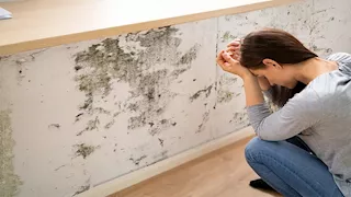 كيف يؤثر العفن داخل المنزل على صحتك؟ مخاطر خفية تهدد الجهاز التنفسي