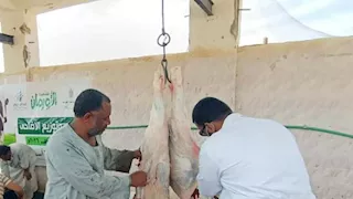 مدير بيطري أسوان يتابع ذبح الأضاحى بالمجان داخل المجازر -صور 