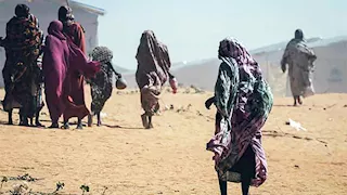 من الفاشر إلى تشاد.. روايات الناجين من إعدامات "الدعم السريع"