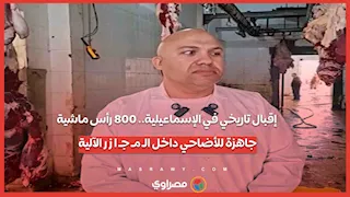 إقبال تاريخي في الإسماعيلية.. 800 رأس ماشية جاهزة للأضاحي داخل الـ مـ جـ ا ز ر الآلية