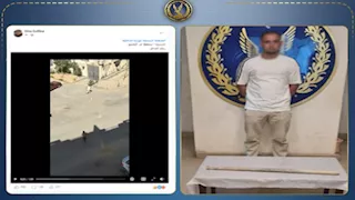 ادعى انزعاجه من النباح.. ضبط متهم بالتعدي على كلب حتى النفوق بالقاهرة