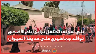 بني سويف تحتفل برابع أيام الأضحى.. توافد جماهيري على حديقة الحيوان