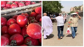 حدث في 8 ساعات| أجواء حارة خلال الأيام المقبلة.. وطرح الطماطم بـ20 جنيهًا للكيلو بالمجمعات